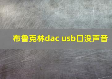 布鲁克林dac usb口没声音